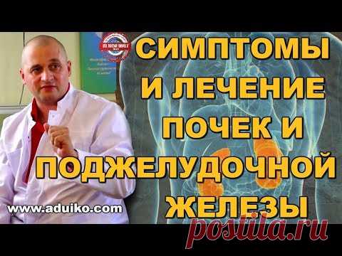 Плохая работа почек и поджелудочной. Какие симптомы. Профилактика и лечение