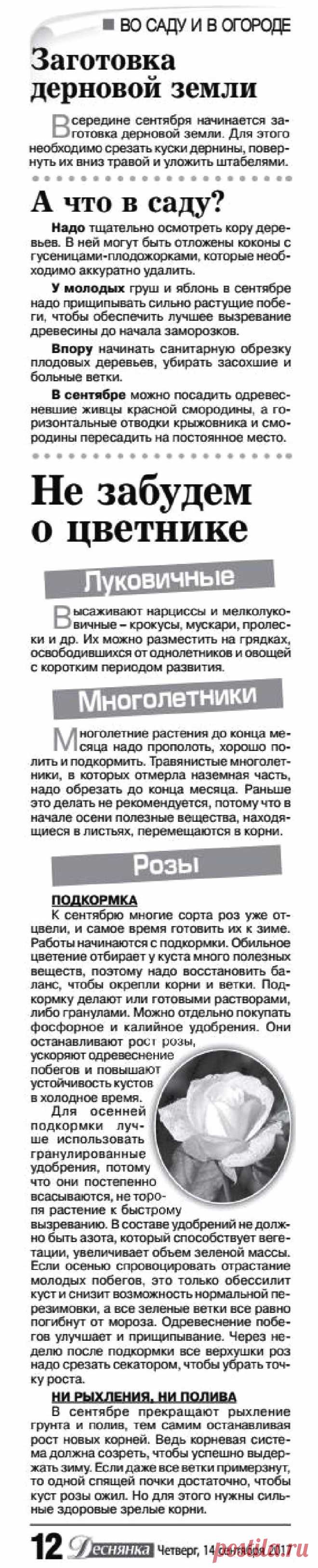 Дачные советы - сентябрь