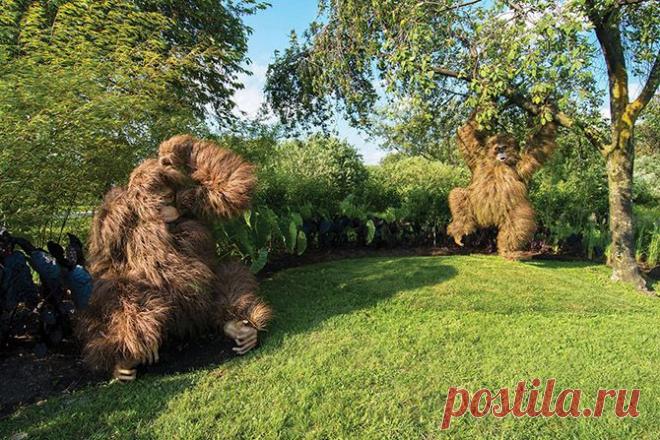 Живые гиганты ботанического сада Атланты | Хвастунишка