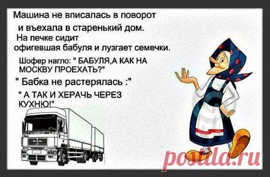 Картинки с юмором: прикольные надписи и фразы | В темпі життя