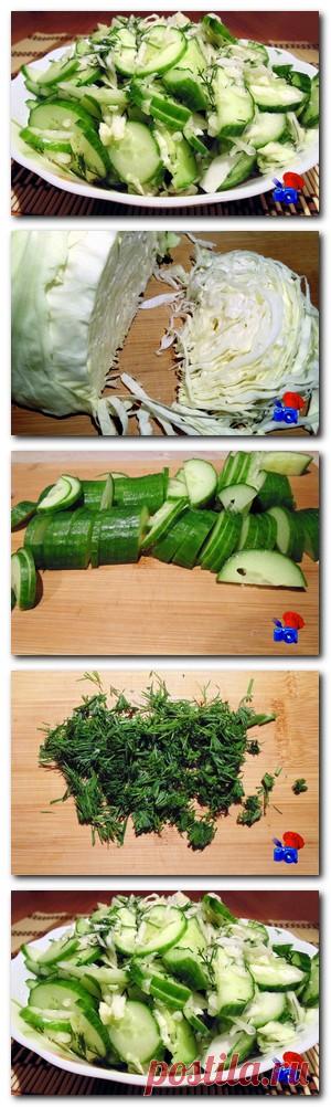 Очень сочный и легкий салатик придаст свежесть любому блюду. Сочетание укропа и чеснока придает салату особую изюминку, а оливковое масло делает его более вкусным и полезным. К тому же это блюдо готовится невероятно быстро, что порой бывает очень важно.