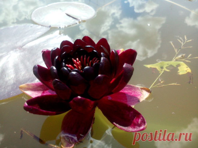 Редактировать описание