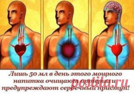 Лишь 50 мл в день этого мощного напитка очищают артерии и предупреждают сердечный приступ! | Советы на все случаи жизни