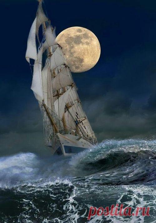 taramysweetlove:
“ lifepeacelovely:
“ ༺♥༻
”