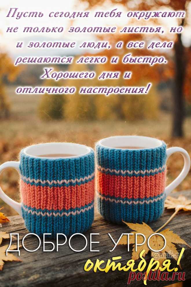 С добрым утром сентября картинки красивые