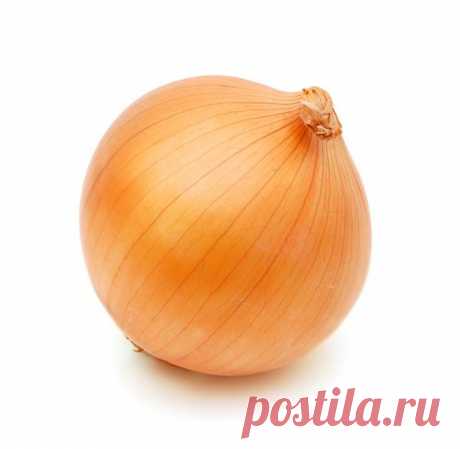 10 натуральных удобрений для домашних цветов / удобрения / 7dach.ru