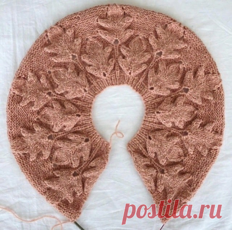 ​Кокетка с невероятно красивыми листиками