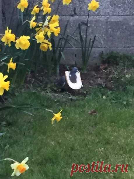 Жена из дома выгнала. Забирай, говорит, свое барахло и проваливай...