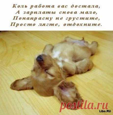 Новости