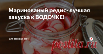 Маринованый редис- лучшая закуска к ВОДОЧКЕ! Маринованный редис- очень вкусная и простая по приготовлению закуска. Просто так, конечно, тоже неплохо, но если с водочкой- вообще пальчики оближешь!
Нам понадобится:
1/2 апельсина
100 гр сахара
