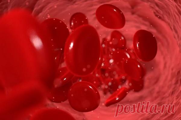 Преждевременное старение объяснили дефицитом в крови белка Снижение когнитивных способностей и преждевременное старение могут провоцироваться дефицитом в красных кровяных тельцах белка, который отвечает за высвобождение кислорода. К таким выводам пришли зарубежные ученые, опубликовавшие статью на страницах издания PLOS Biology.Как решили...