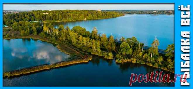 Топ-10 лучших мест для рыбалки в Подмосковье | Рыбалка Всё | Дзен