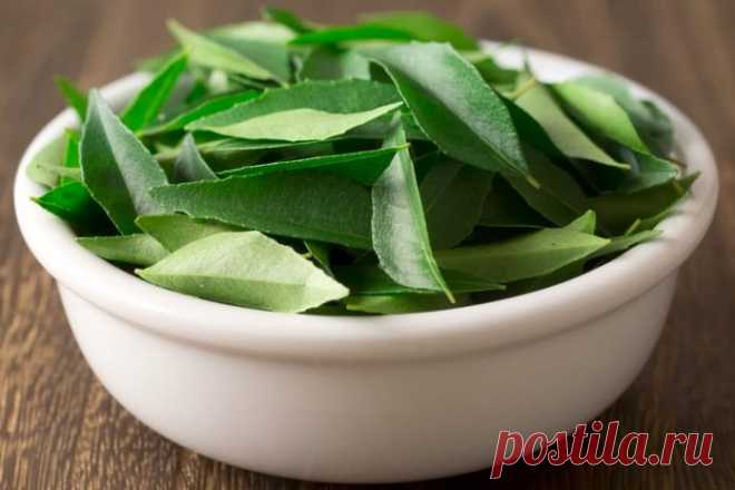 Как использовать листья карри для избавления от седых волос 

  

Делаем из листьев Карри масло для волос


Соберите кучу листьев карри, очистите и дайте им высохнуть на солнце, пока они не станут темно-коричневыми и хрустящими.
Измельчите их до мелкого порошк…