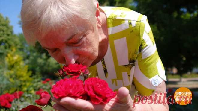 Пенсионерка из хутора Фастовецкая создала парк, который приснился ей во сне

Нарядные клумбы, скамейки, место, где дети занимаются аэробикой — парк в хуторе Фастовецкая на зависть всем. И вы не поверите, но эта красота однажды приснилась Галине Степановне. Собрала инициативную группу, пошла в администрацию. И пока там пытались помочь с финансированием, они начали работать. Выиграли грант. Теперь вместо заброшенного пустыря — фонтан, сцена, много скамеек.