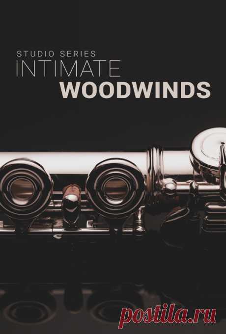 Intimate Studio Woodwinds KONTAKT  | 10.61GB
Continuing from our highly popular Strings, Brass and Saxophone libraries, Intimate Studio Woodwinds is the latest creation in our series of contemporary studio ensembles. With over 160 hours of session material and countless more in post-production, Intimate Studio Woodwinds continues our concept of a completely modular ensemble