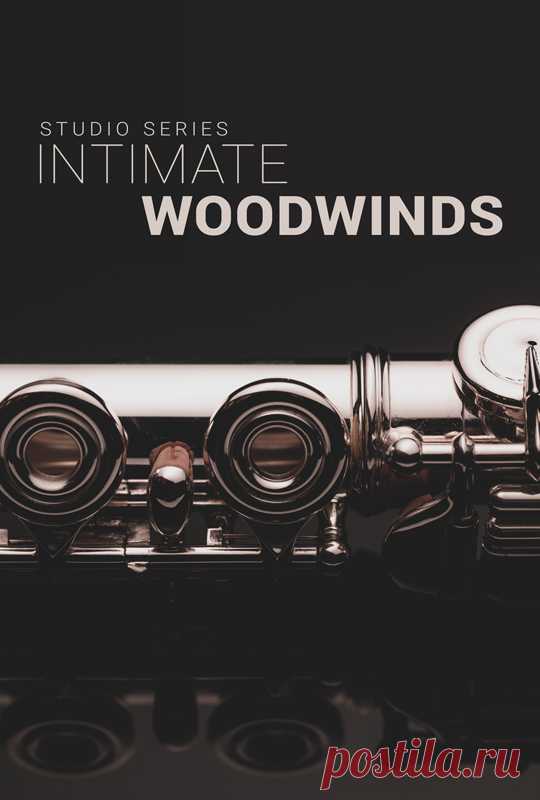 Intimate Studio Woodwinds KONTAKT  | 10.61GB
Continuing from our highly popular Strings, Brass and Saxophone libraries, Intimate Studio Woodwinds is the latest creation in our series of contemporary studio ensembles. With over 160 hours of session material and countless more in post-production, Intimate Studio Woodwinds continues our concept of a completely modular ensemble