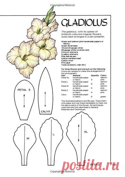 #Гладилус разбор + #выкройка_цветка