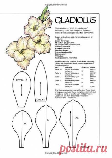 #Гладилус разбор + #выкройка_цветка