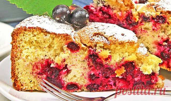 Шарлотка с чёрной смородиной