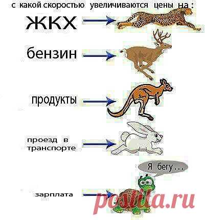 Одноклассники