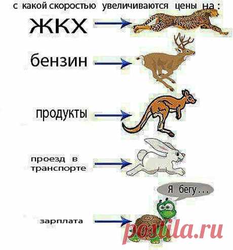 Одноклассники