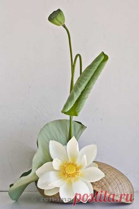 (4) Pinterest: Discover and save creative ideas