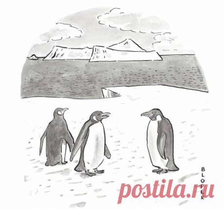 Антарктида рисунок карандашом - 96 идей для срисоки