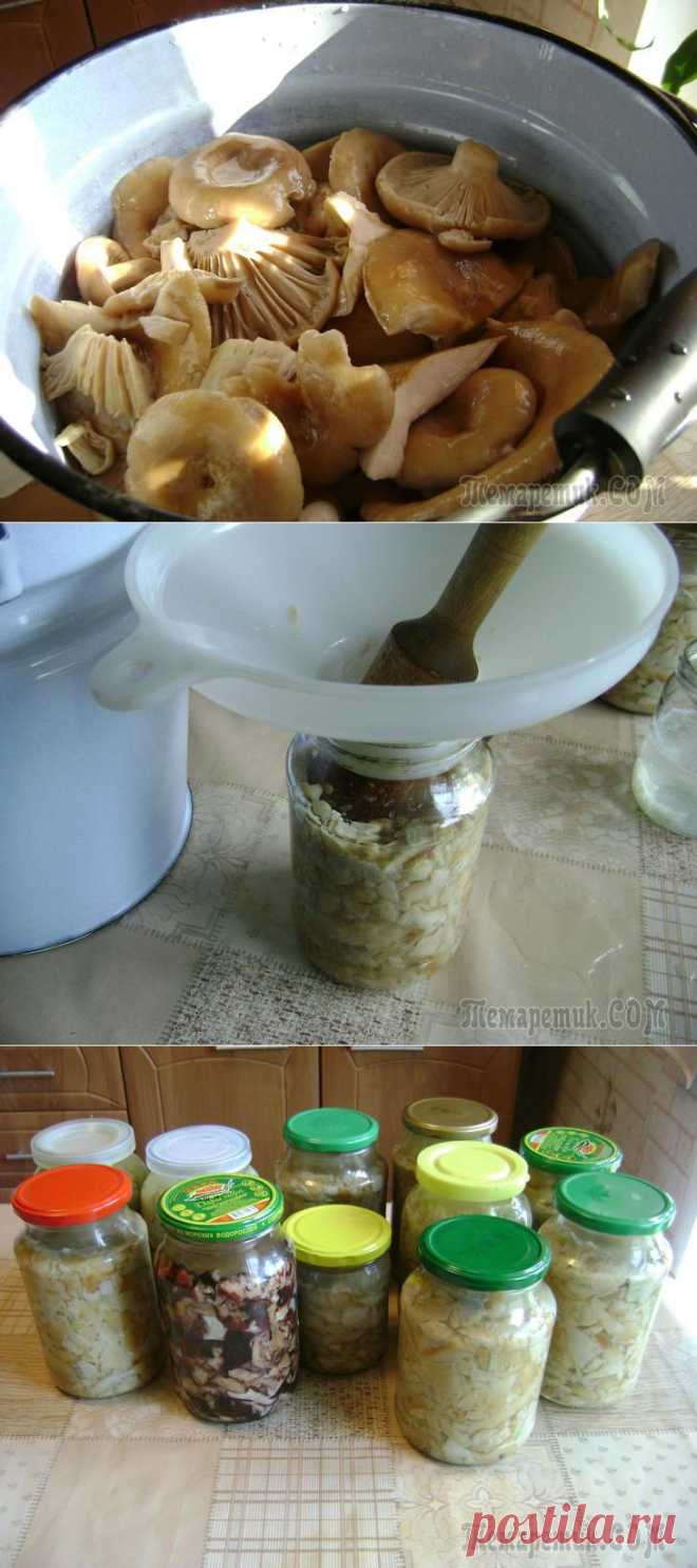 Соление грибочков