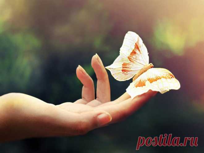 Ваша карма по году рождения / Мистика