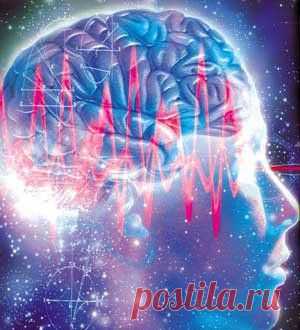 Продукты для мозга.                                                                
	Красная капуста
Источник антиоксидантов – полифенолов, которые способствуют профилактике болезни Альцгеймера. Лучший салат для мозга: смешиваем сырую капусту, зеленый лук и морковь, заливаем их соусом из оливкового масла и бальзамического уксуса.
