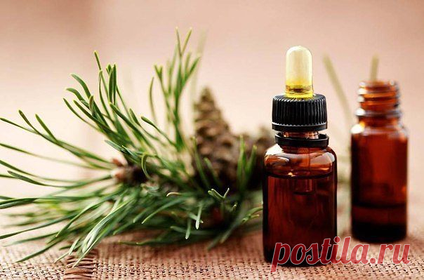 С пихтовым маслом ваши почки будут здоровы!

Как очистить почки от песка, камней и вылечить хронические воспалительные процессы.1. Подготовительный этап. Приготовьте мочегонный сбор, взяв в равных количествах по 30 г мелкоизмельченных растений: душица, мелисса, спорыш, шалфей, шиповник. Смесь заваривают как чай до получения напитка темного цвета: на 2 стакана кипятка положить 1 ст. ложку травяной смеси, закрыть крышкой и дать настояться, пока не остынет. Процедить, вы полу...