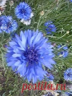 Людмила Полякова