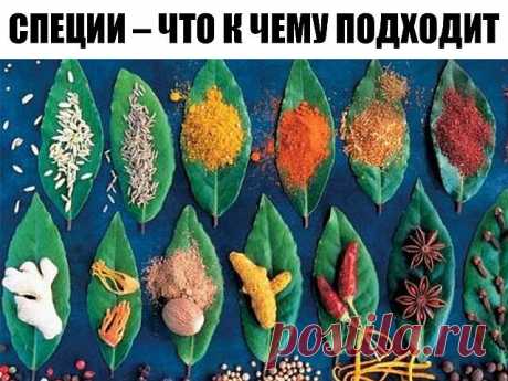 СПЕЦИИ – ЧТО К ЧЕМУ ПОДХОДИТ — Чудо поваренок