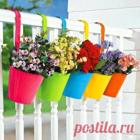 Озеленение балкона и фасада — Наши дома