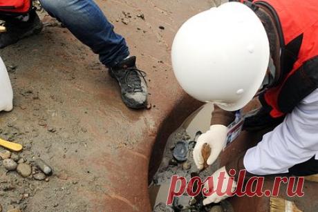 Обнаружены старейшие свидетельства разведения лошадей в Патагонии. Международная группа археологов, геологов, историков и антропологов обнаружила, что люди, жившие на территории Патагонии в Аргентине, научились выращивать лошадей, ездить верхом и употребляли их в пищу еще в 1600 году. К такому выводу они пришли на основе результатов раскопок в каньоне Чоррильо-Гранде.