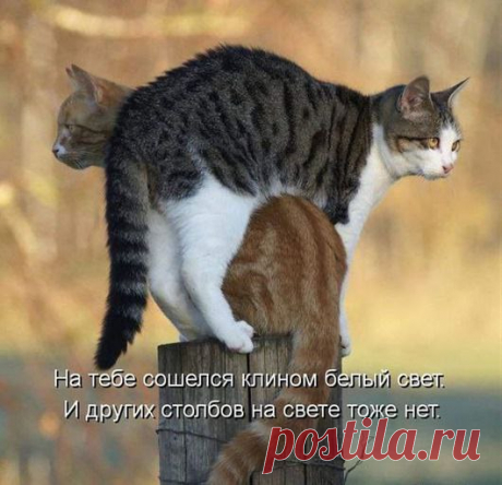 Капельки радости!