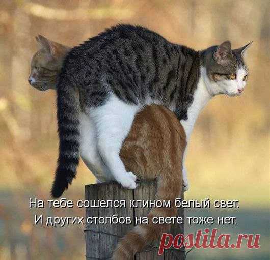 Капельки радости!