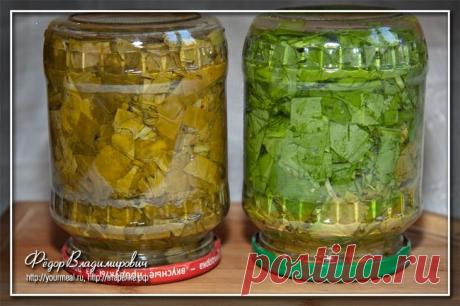 Щавель на зиму. | Домашние рецепты