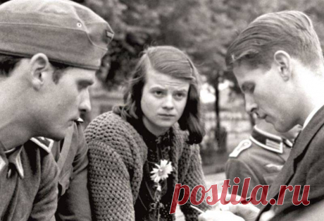 «Белая роза». Те, о ком не рассказал Коля из Уренгоя В ноябре прошлого года сеть «взорвалась» от поведения гимназиста Коли из Уренгоя, который, выступая в Бундестаге, фактически оправдывал фашистских захватчиков. Конечно, можно списать его пассажи насче…