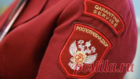 3-1-24-Роспотребнадзор оценил РИСК ВСПЫШКИ ЛИХОРАДКИ Марбург в РФ - Новости Mail