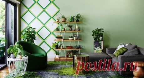 Счастливые растения - благополучный дом / Домоседы