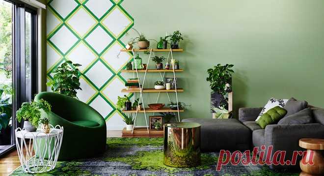 Счастливые растения - благополучный дом / Домоседы