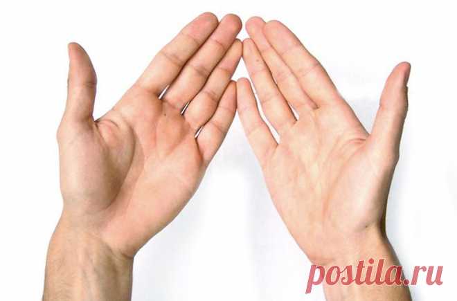 Что о нас говорят линии на руках? Простой тест