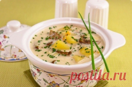 Сырный суп с белыми грибами / Удивительная еда!