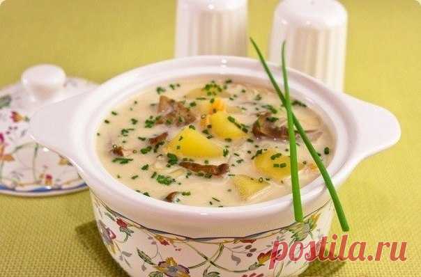 Сырный суп с белыми грибами / Удивительная еда!