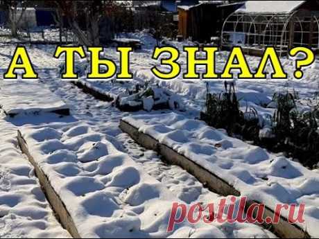 ВАЖНО: новые и старые ШТРАФЫ ДЛЯ ДАЧНИКОВ ⛔⛔⛔