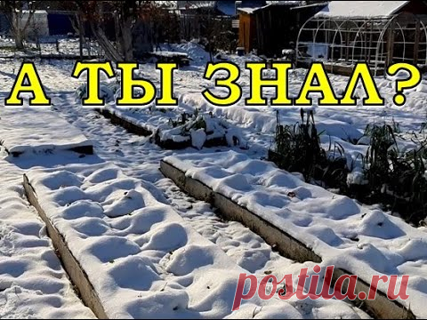 ВАЖНО: новые и старые ШТРАФЫ ДЛЯ ДАЧНИКОВ ⛔⛔⛔