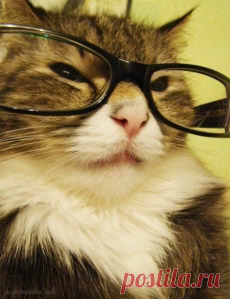 УЧИМСЯ ОТКАЗЫВАТЬ НА НЕМЕЦКОМ ЯЗЫКЕ: / Изучение немецкого языка