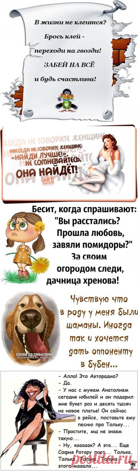 Картинки с юмором: прикольные надписи и фразы | В темпі життя