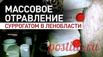 Смертельный бизнес пенсионеров: 19 человек погибли от отравления суррогатом в Ленобласти. 19 человек погибли из-за отравления суррогатом, который производили пенсионеры в Ленобласти. Супруги разводили спирт и продавали по 200 рублей за 0,5 л. Следователи возбудили уголовное дело по статье «Причинение смерти по неосторожности». Читать далее